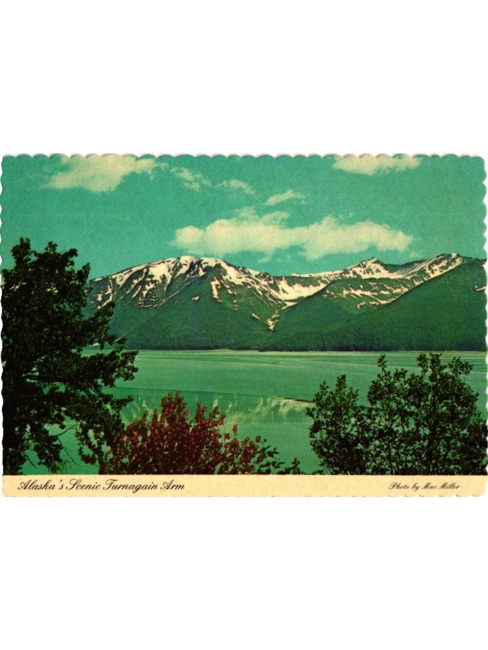 Alaskas Scenic Turnagain Arm 1978 Postcard Dexter Press Landscape